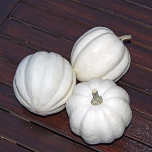 Cucurbita White Pearl